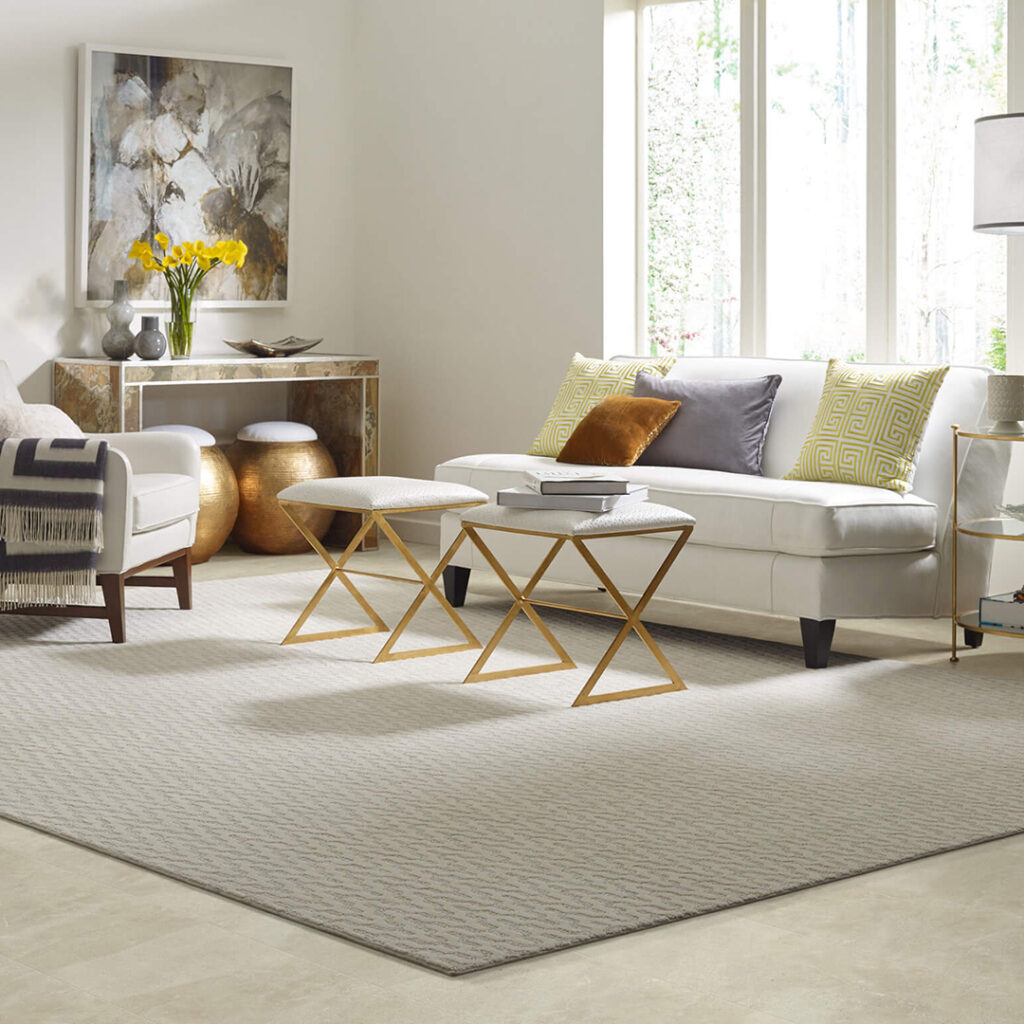 Area Rug | Johnston Paint & Decorating